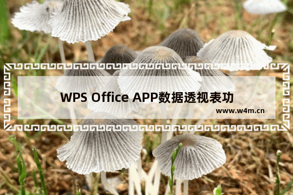 WPS Office APP数据透视表功能怎么使用？使用数据透视表功能的方法讲解