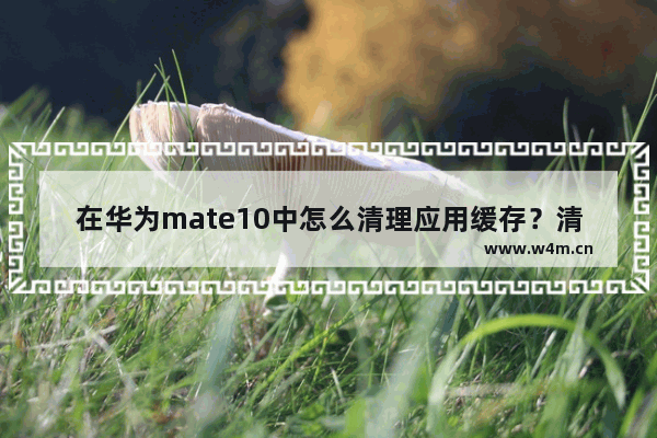 在华为mate10中怎么清理应用缓存？清理应用缓存的方法介绍