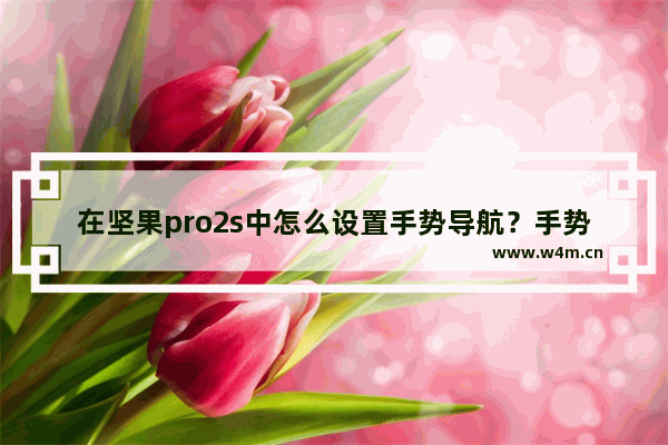 在坚果pro2s中怎么设置手势导航？手势导航设置方法说明