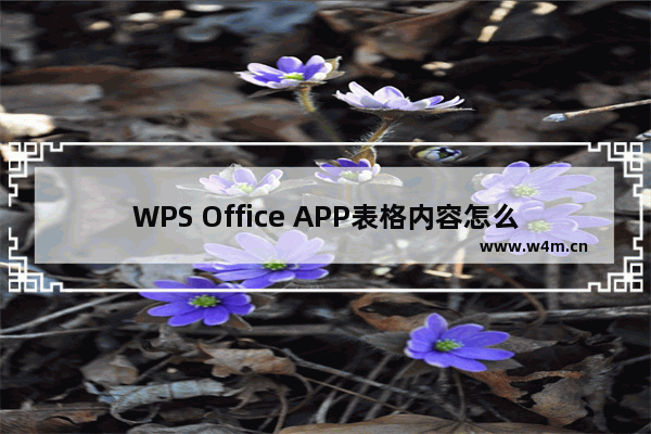 WPS Office APP表格内容怎么自动换行？自动换行表格内容的操作流程一览