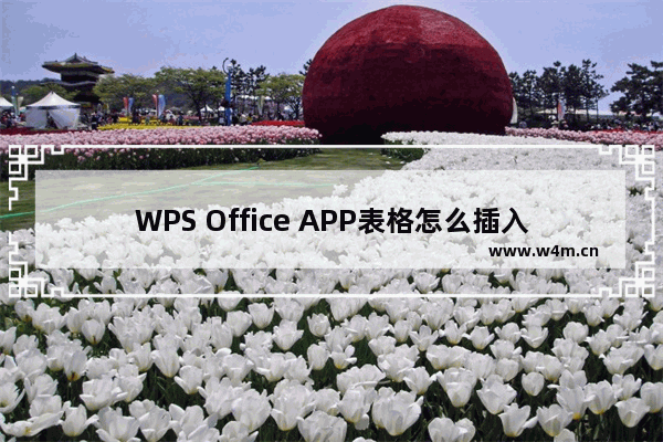 WPS Office APP表格怎么插入数字符号？插入数字符号的操作步骤一览