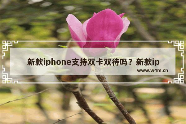 新款iphone支持双卡双待吗？新款iphone介绍