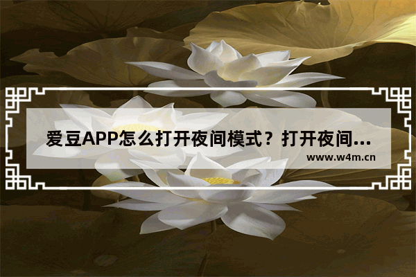 爱豆APP怎么打开夜间模式？打开夜间模式的方法说明