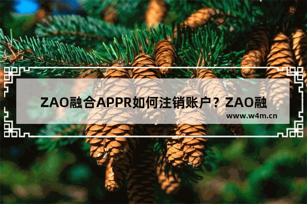 ZAO融合APPR如何注销账户？ZAO融合APP注销账户流程一览