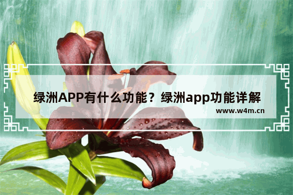 绿洲APP有什么功能？绿洲app功能详解