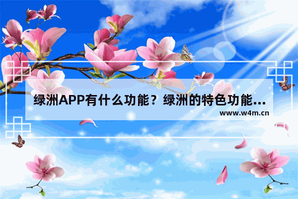 绿洲APP有什么功能？绿洲的特色功能介绍