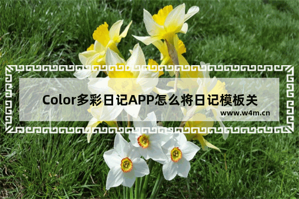 Color多彩日记APP怎么将日记模板关掉？关掉日记模板的方法讲解