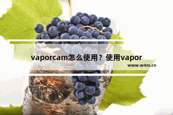 vaporcam怎么使用？使用vaporcam的方法介绍