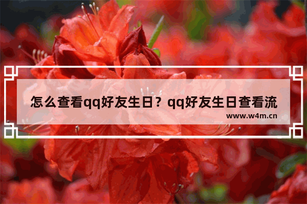 怎么查看qq好友生日？qq好友生日查看流程一览