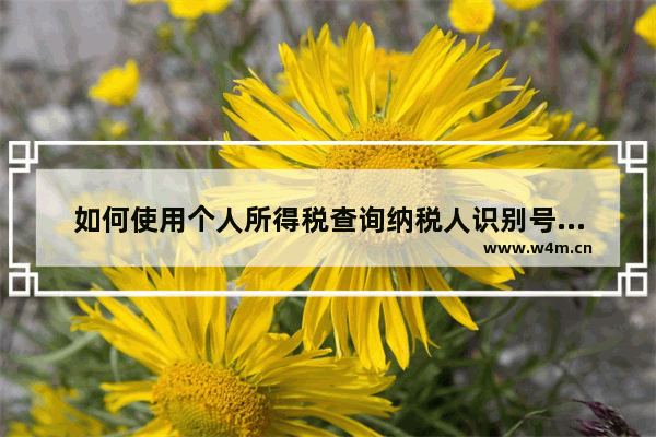 如何使用个人所得税查询纳税人识别号？使用个人所得税查询纳税人识别号的方法分享