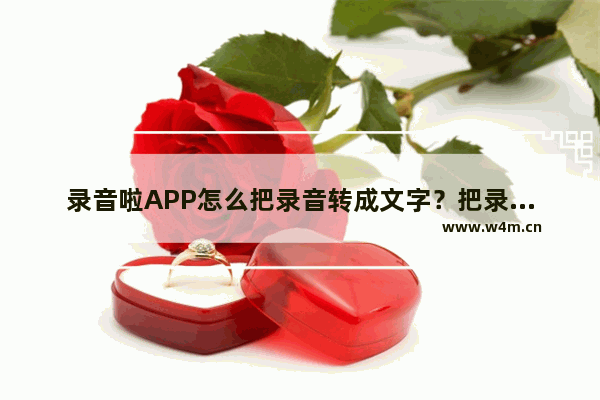 录音啦APP怎么把录音转成文字？把录音转成文字的方法说明