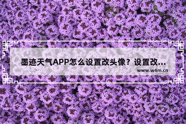 墨迹天气APP怎么设置改头像？设置改头像的方法介绍