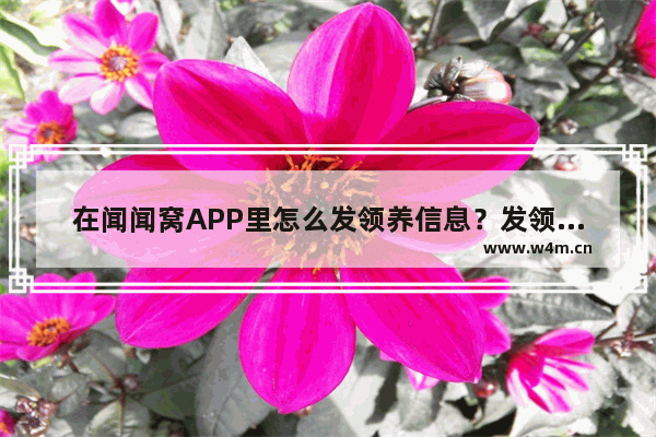 在闻闻窝APP里怎么发领养信息？发领养信息的方法说明