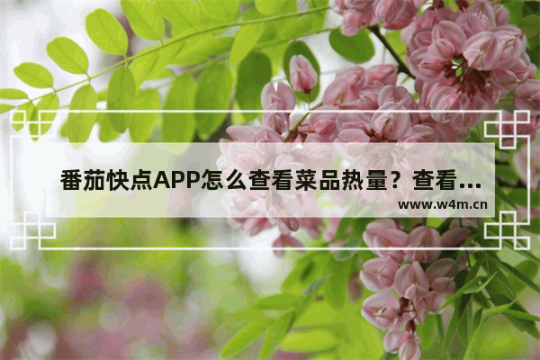 番茄快点APP怎么查看菜品热量？查看菜品热量的方法说明