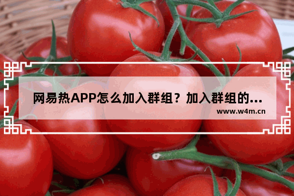 网易热APP怎么加入群组？加入群组的步骤分享