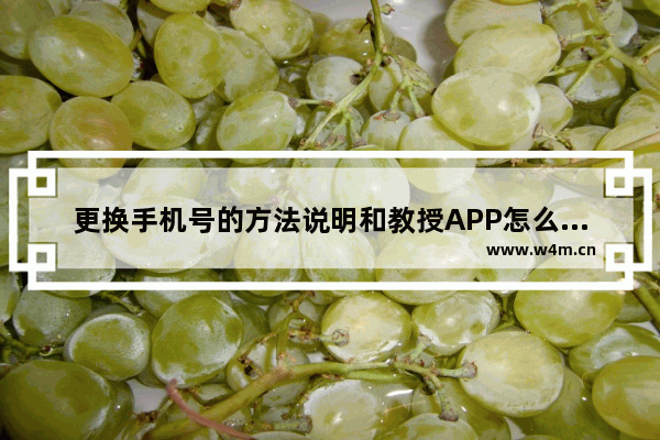 更换手机号的方法说明和教授APP怎么更换手机号？