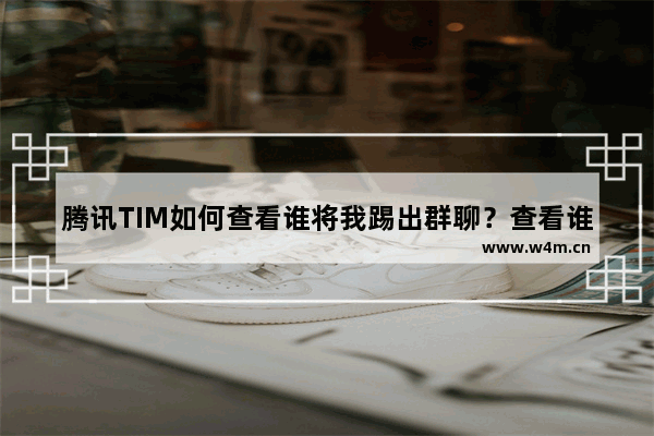 腾讯TIM如何查看谁将我踢出群聊？查看谁将我踢出群聊方法分享