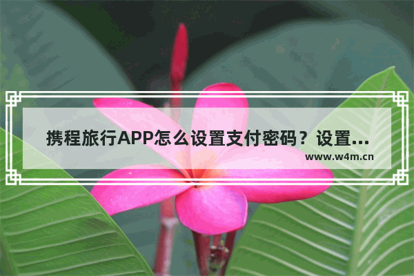 携程旅行APP怎么设置支付密码？设置支付密码的方法一览