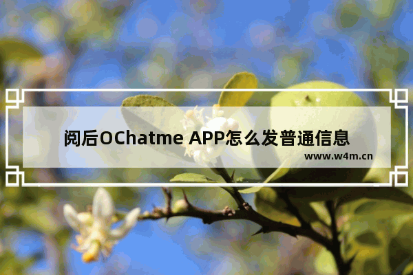 阅后OChatme APP怎么发普通信息？发普通信息的操作步骤分享