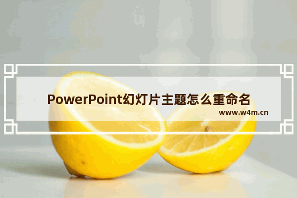 PowerPoint幻灯片主题怎么重命名 幻灯片主题重命名方法一览