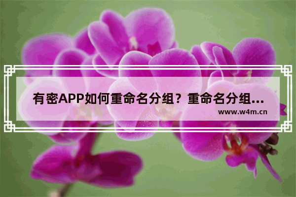 有密APP如何重命名分组？重命名分组操作方法说明