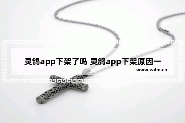 灵鸽app下架了吗 灵鸽app下架原因一览