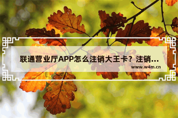 联通营业厅APP怎么注销大王卡？注销大王卡的方法介绍