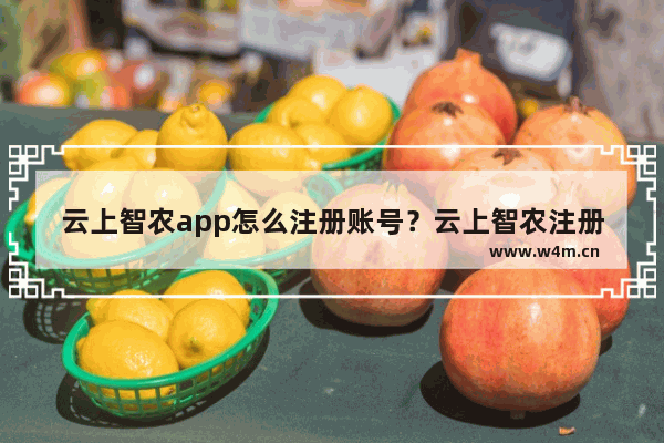 云上智农app怎么注册账号？云上智农注册账号的方法一览