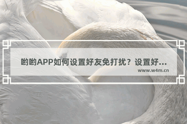 哟哟APP如何设置好友免打扰？设置好友免打扰的方法分享