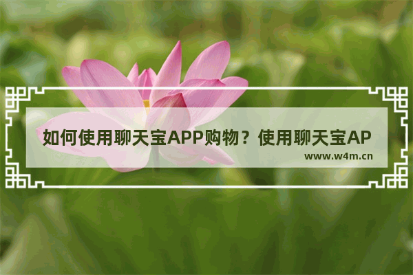 如何使用聊天宝APP购物？使用聊天宝APP购物的方法说明