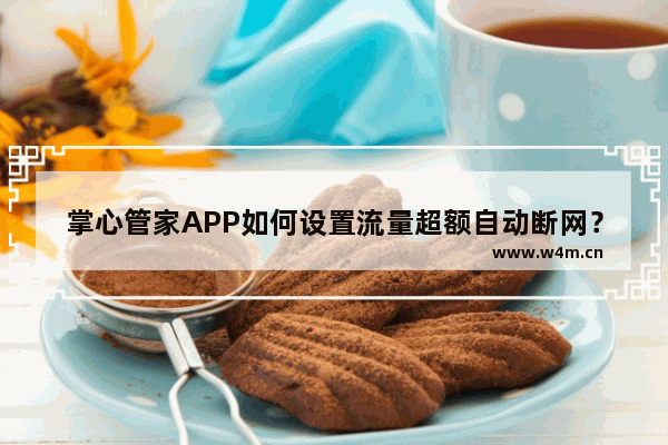 掌心管家APP如何设置流量超额自动断网？设置流量超额自动断网的方法介绍