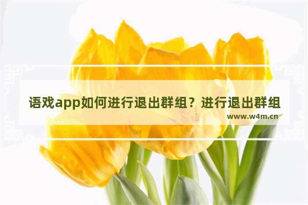 语戏app如何进行退出群组？进行退出群组的方法介绍