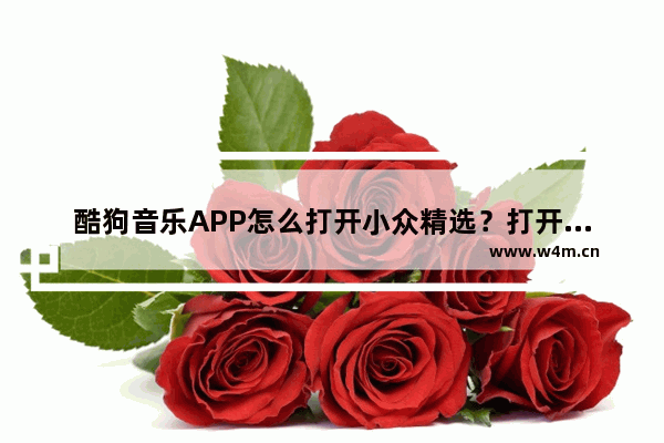 酷狗音乐APP怎么打开小众精选？打开小众精选的方法说明