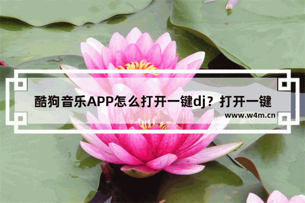 酷狗音乐APP怎么打开一键dj？打开一键dj的方法说明