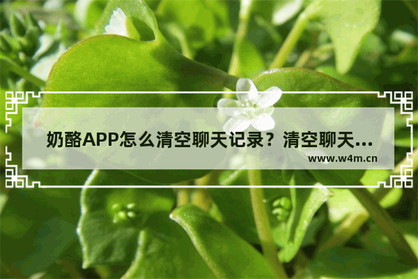 奶酪APP怎么清空聊天记录？清空聊天记录的方法介绍