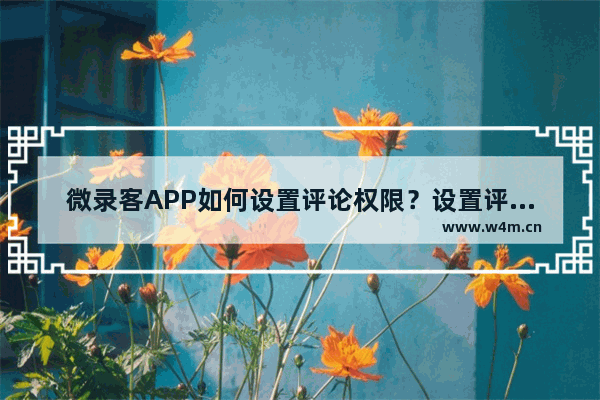 微录客APP如何设置评论权限？设置评论权限的方法一览