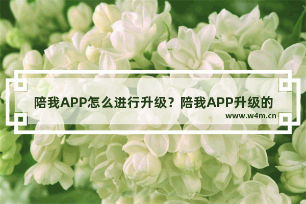 陪我APP怎么进行升级？陪我APP升级的方法介绍