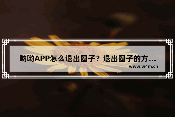 哟哟APP怎么退出圈子？退出圈子的方法说明