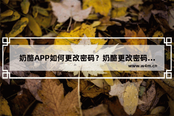 奶酪APP如何更改密码？奶酪更改密码步骤一览