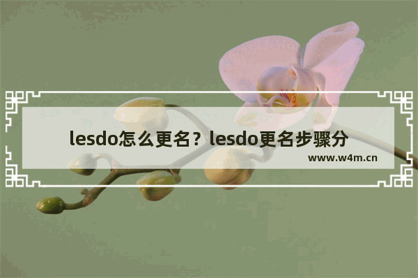 lesdo怎么更名？lesdo更名步骤分享