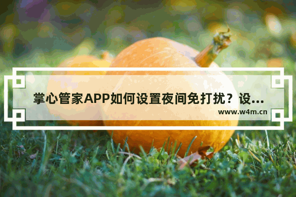 掌心管家APP如何设置夜间免打扰？设置夜间免打扰的方法说明