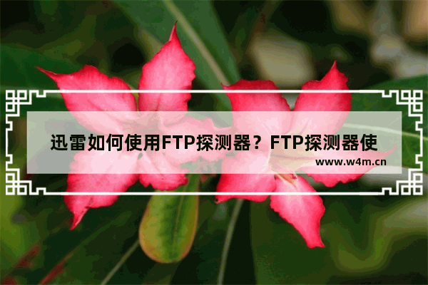 迅雷如何使用FTP探测器？FTP探测器使用操作步骤分享