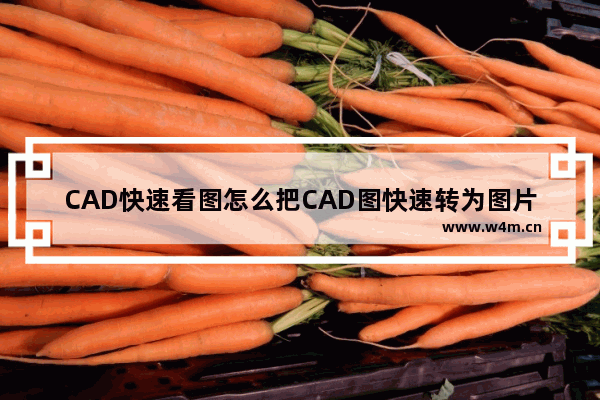 CAD快速看图怎么把CAD图快速转为图片 CAD图快速转为图片方式一览