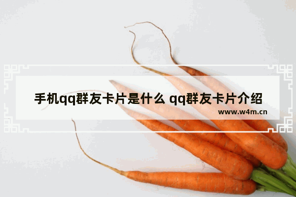 手机qq群友卡片是什么 qq群友卡片介绍