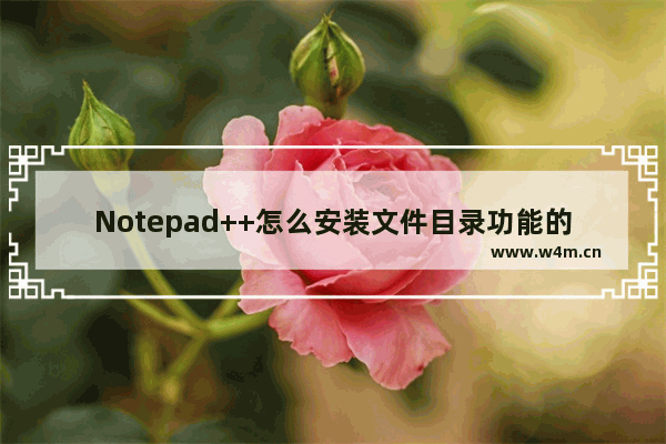 Notepad++怎么安装文件目录功能的插件？安装文件目录功能的插件步骤分享