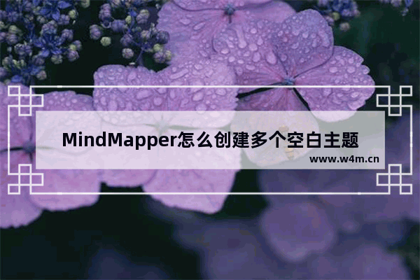 MindMapper怎么创建多个空白主题？创建多个空白主题方法盘点