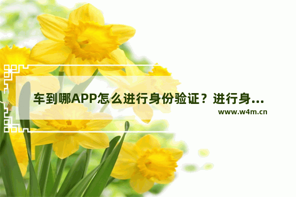 车到哪APP怎么进行身份验证？进行身份验证的具体方法说明