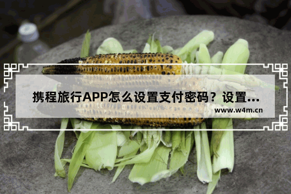 携程旅行APP怎么设置支付密码？设置支付密码的操作方法一览