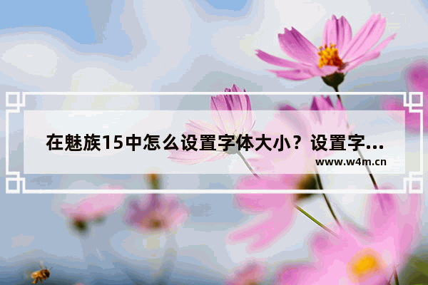 在魅族15中怎么设置字体大小？设置字体大小的方法介绍