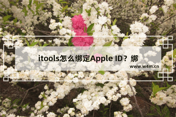 itools怎么绑定Apple ID？绑定Apple ID图文步骤分享